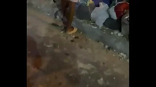 290 novinho porn videos